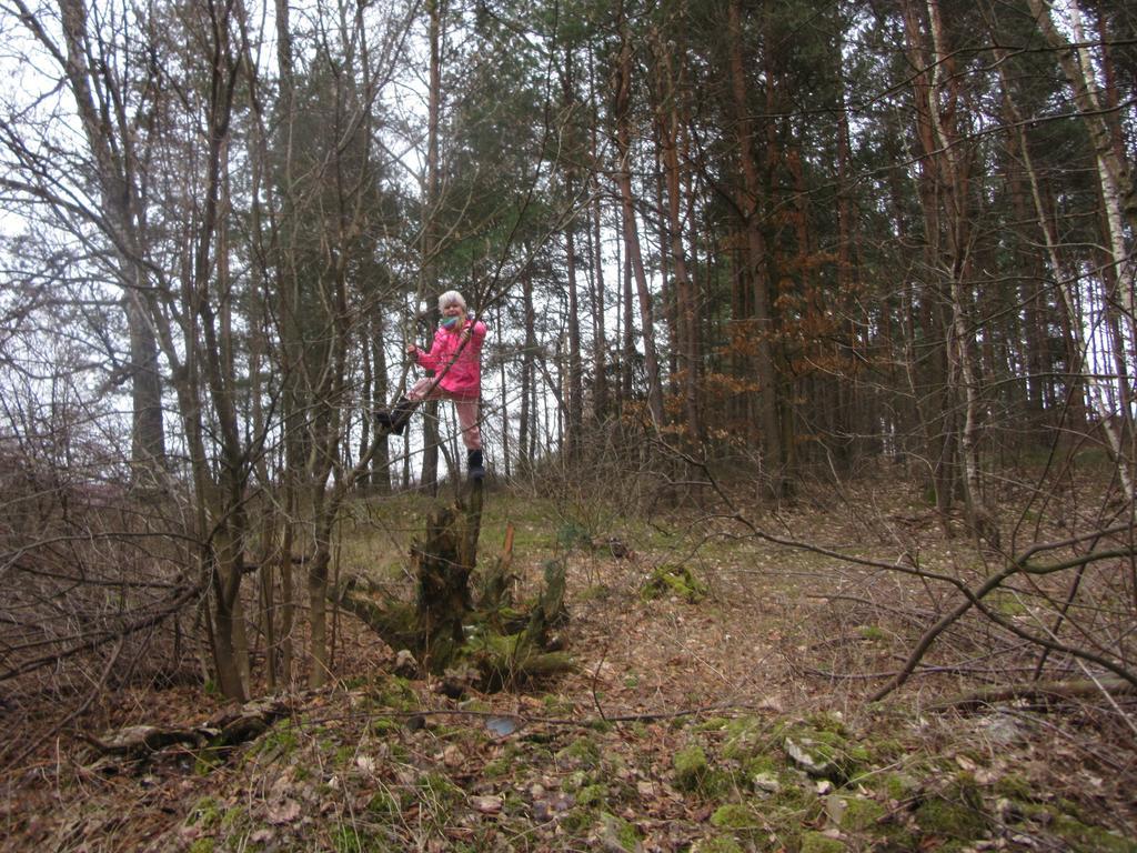 Gospodarstwo Agroturystyczno-Edukacyjne Gratka Celiny  Esterno foto