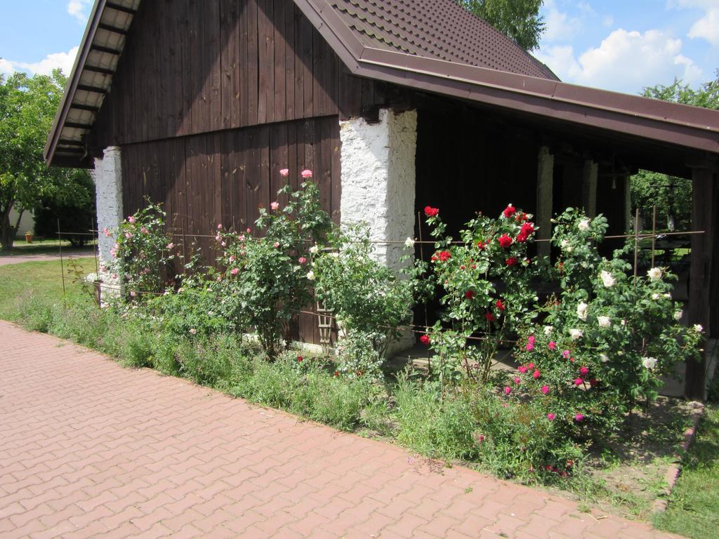 Gospodarstwo Agroturystyczno-Edukacyjne Gratka Celiny  Esterno foto